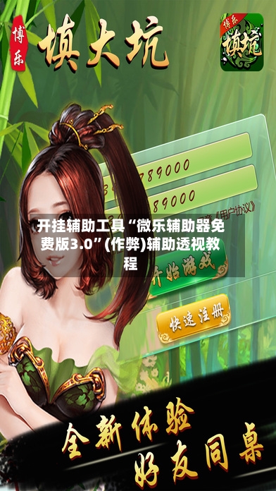 开挂辅助工具“微乐辅助器免费版3.0”(作弊)辅助透视教程-第2张图片