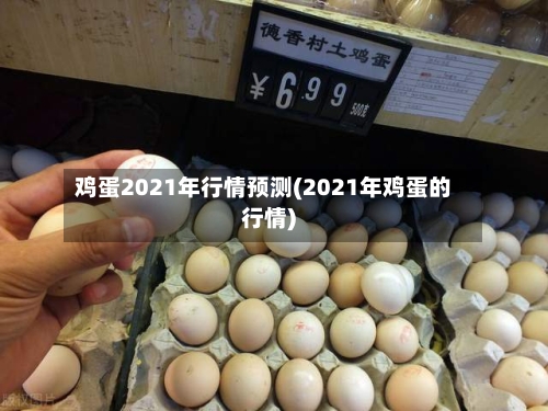 鸡蛋2021年行情预测(2021年鸡蛋的行情)-第2张图片