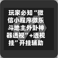 玩家必知“微信小程序微乐斗地主外卦神器透视”+透视挂”开挂辅助软件教程-第3张图片