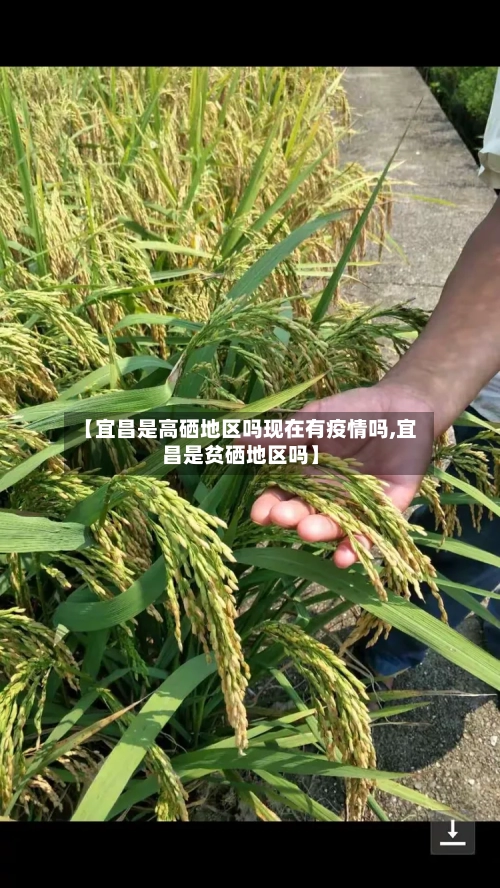 【宜昌是高硒地区吗现在有疫情吗,宜昌是贫硒地区吗】-第3张图片
