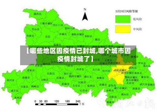 【哪些地区因疫情已封城,哪个城市因疫情封城了】-第2张图片