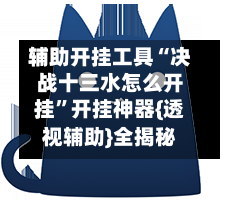 辅助开挂工具“决战十三水怎么开挂”开挂神器{透视辅助}全揭秘