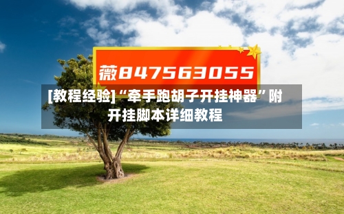 [教程经验]“牵手跑胡子开挂神器”附开挂脚本详细教程