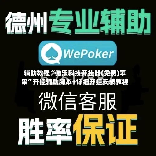 辅助教程“微乐科技开挂器(免费)苹果”开挂辅助脚本+详细开挂安装教程