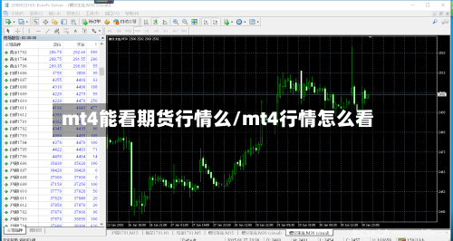 mt4能看期货行情么/mt4行情怎么看-第3张图片
