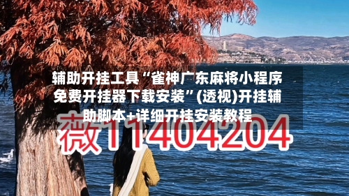 辅助开挂工具“雀神广东麻将小程序免费开挂器下载安装”(透视)开挂辅助脚本+详细开挂安装教程