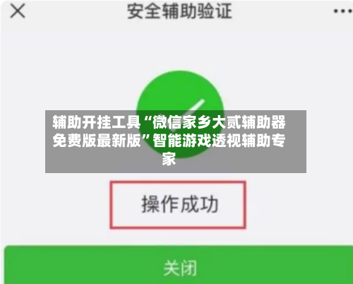 辅助开挂工具“微信家乡大贰辅助器免费版最新版”智能游戏透视辅助专家-第2张图片