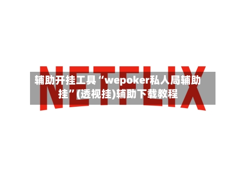辅助开挂工具“wepoker私人局辅助挂”(透视挂)辅助下载教程-第3张图片