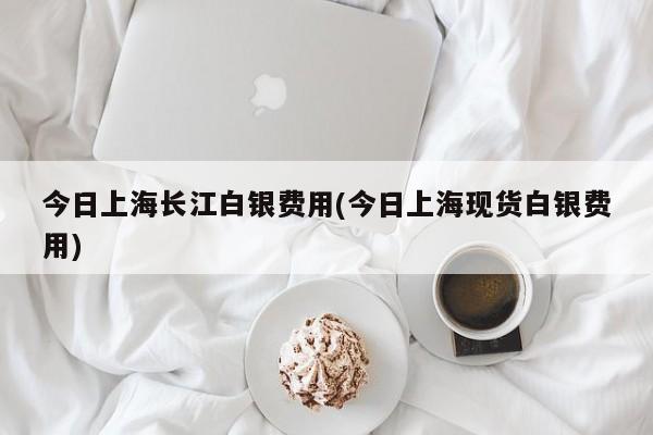 今日上海长江白银费用(今日上海现货白银费用)